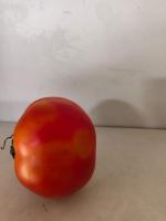 Tomato maturity project thumbnail