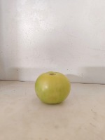 Tomato maturity project thumbnail