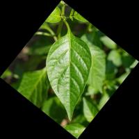 smart_agro project thumbnail