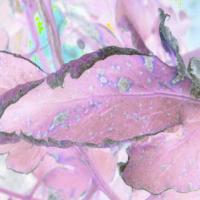 mosaic_inovation2 project thumbnail