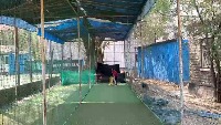 Ball and bat  project thumbnail