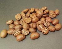 Deteksi Kopi project thumbnail
