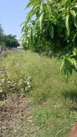 Gate_ mango r7 5th mar project thumbnail