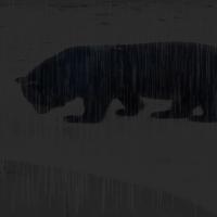 Bear4 project thumbnail