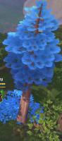 Trees project thumbnail