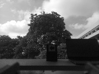 MDP Task 2 project thumbnail