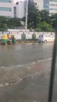 EWOD_6_Flood project thumbnail