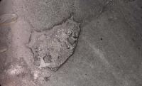 Pothole Project2 project thumbnail