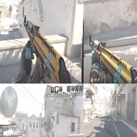 Dataset Image