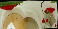 Strawberry Log Polar project thumbnail