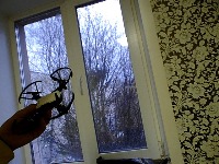 Dataset Image