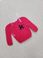 Dataset Image