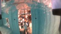 diving footage project thumbnail