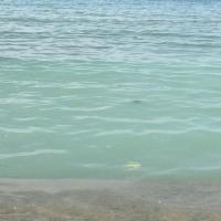 Ocean Waste Unified Dataset project thumbnail