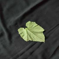 My First Project project thumbnail