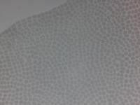 My-Phytoplankton02 project thumbnail