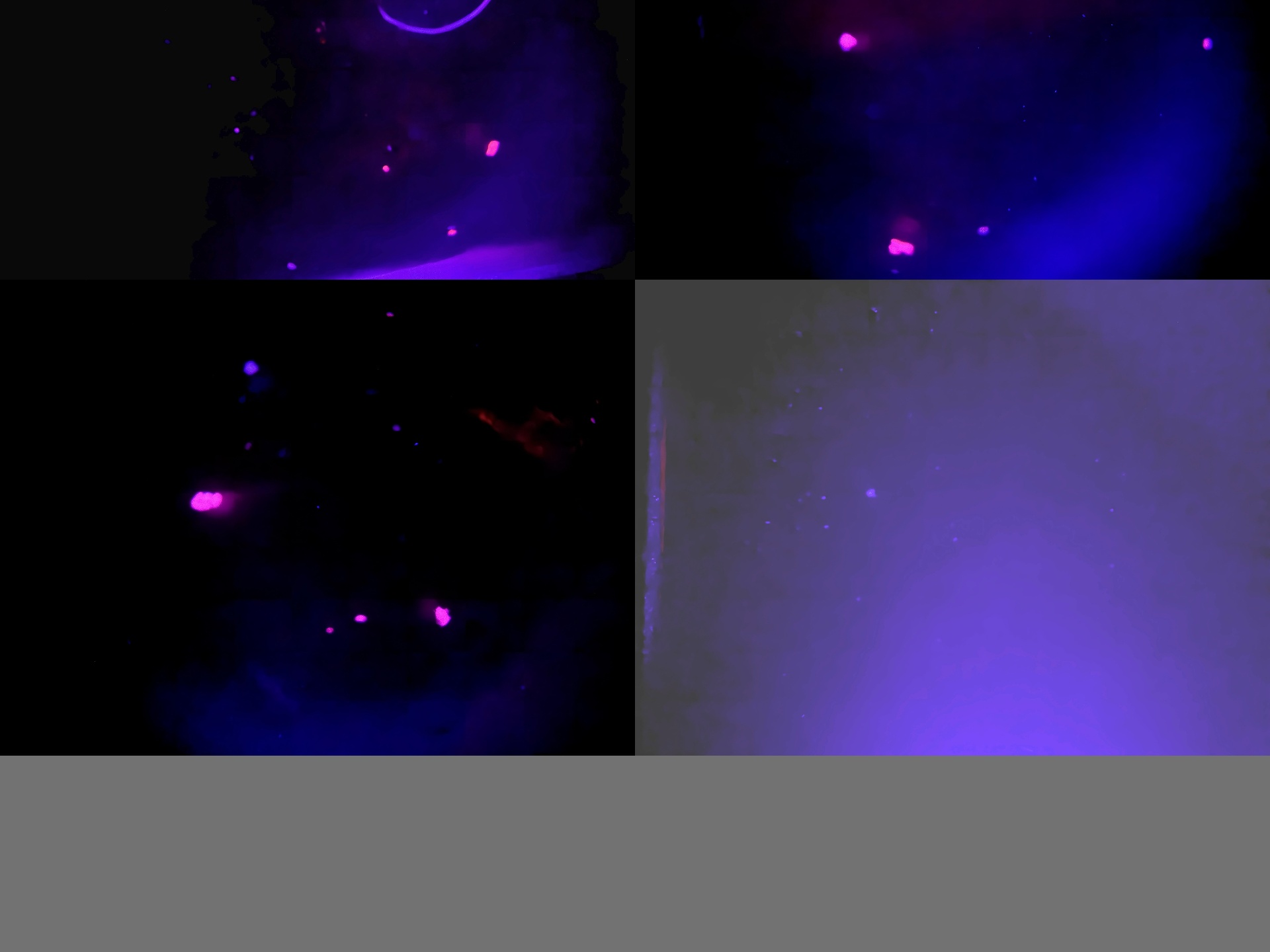Microplastic Detection A Object Detection Dataset by ...