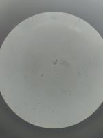 Plankton Analysis project thumbnail