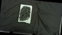 nut_2025-2-171 project thumbnail