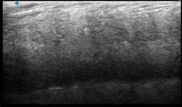 Predicting Fishes project thumbnail