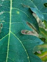 Ringspot_last project thumbnail