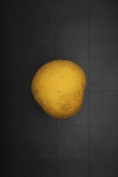 pear   disease project thumbnail