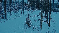 pokus01 project thumbnail