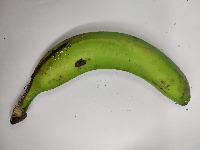 bananaTRAIN project thumbnail
