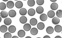 190um-void project thumbnail
