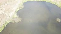 duck_finder project thumbnail