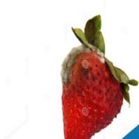 Fruit Classification project thumbnail