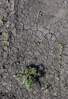 CW-IEP project thumbnail