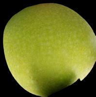 apple_defect project thumbnail