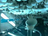 Mushroom Part Segmentation project thumbnail