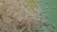 new_rice project thumbnail