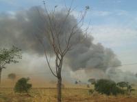 FireDetection project thumbnail