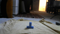Dataset Image