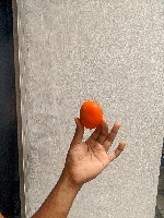 Tomato Detection Fresh or Rotten project thumbnail