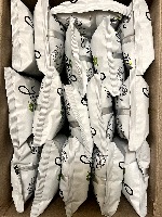 bag of chips counter project thumbnail