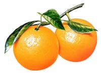 Fruit project thumbnail