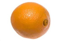 Fruit Ann project thumbnail