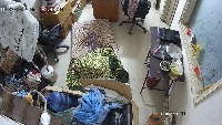 roddent_identification project thumbnail