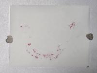 AI prescale(seg) no object area project thumbnail