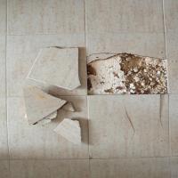 Ceramic_MobileNet project thumbnail