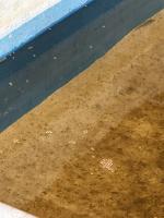 Food/Fish detect project thumbnail