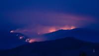 Wildfire Detection project thumbnail