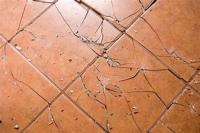 Floor Detection project thumbnail