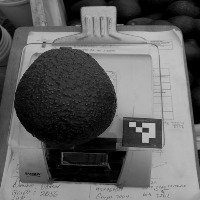Dataset Image
