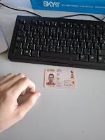 Dataset Image