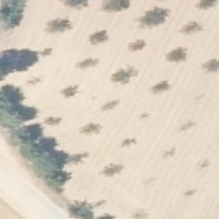 Airs-Vineyards project thumbnail